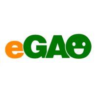株式会社イーガオ
